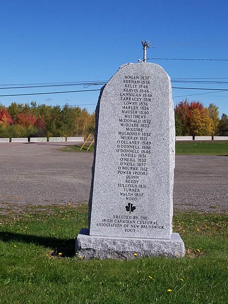settler stone back 2